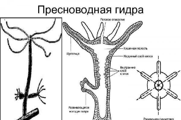 Kraken darknet официальный